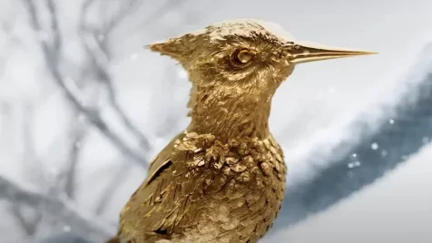 Megkezdődött a felcsigázás Az éhezők viadala előzményfilmhez