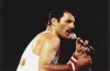 Freddie Mercury profilképe