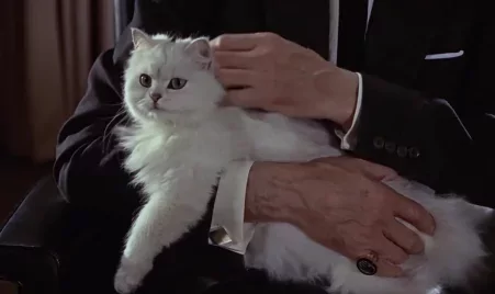 Itt a filmtörténelem 5 leghíresebb macskája!