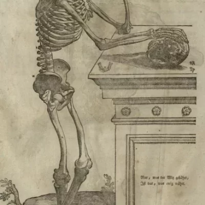 Művészeti anatómiák hatása - történelmi korokon át