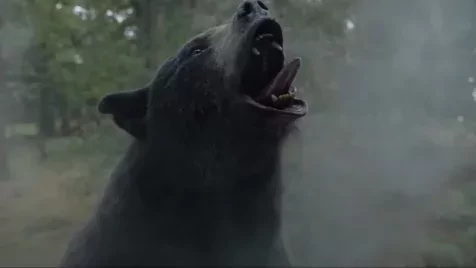 Itt a Kokainmedve zseniális előzetese, és az igazán durva az, hogy a film valós sztorin alapul
