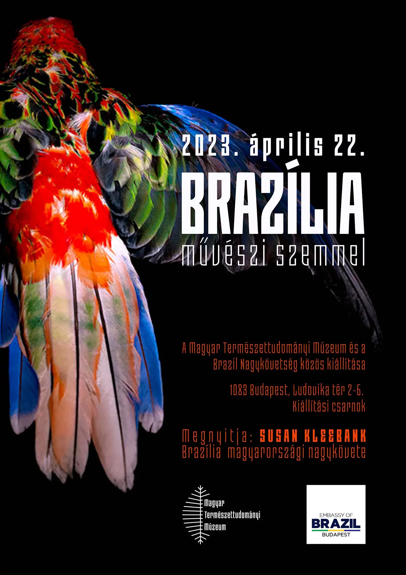 Brazília művészi szemmel