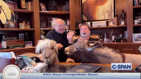 Schwarzenegger, Danny DeVito, egy póni és egy csacsi = cukiság