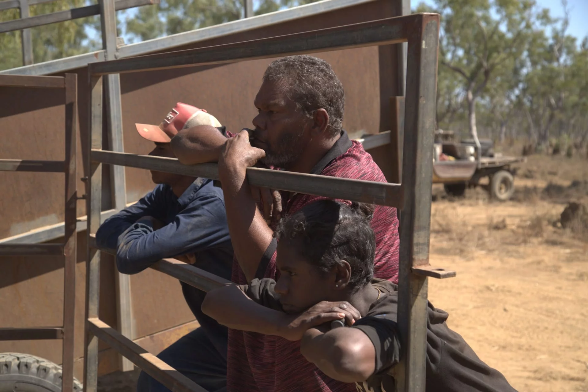 Ausztrál bikafogók