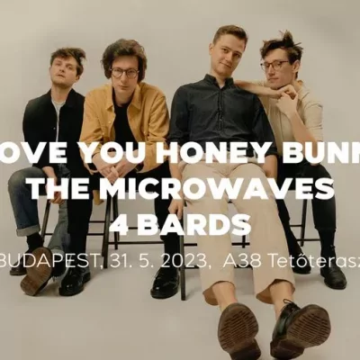 I Love You Honey Bunny | The Microwaves | 4Bards