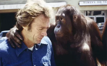 Hogy a fenébe lehetett ekkora siker Clint Eastwood majmos filmje?