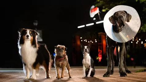 Hihetetlen, milyen mocskos szájuk van ezeknek a dögöknek!