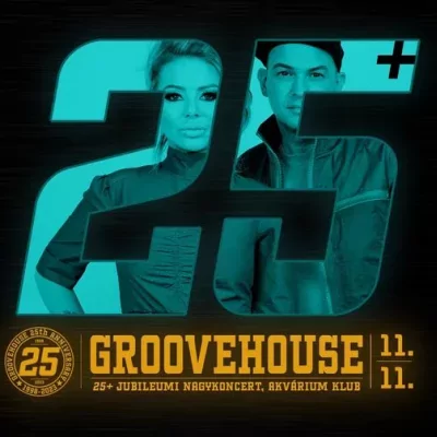 Groovehouse 25+