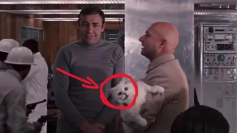 Újabb 5 bizarr dolog, ami véletlenül került bele a filmekbe