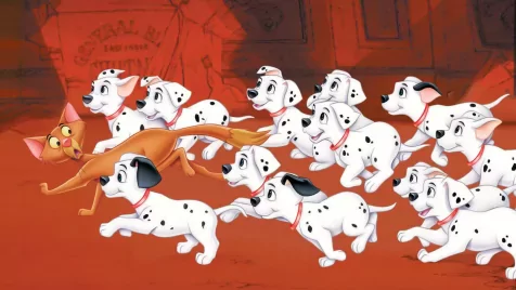 10 film kutyaimádóknak