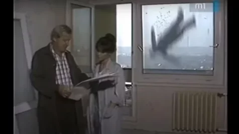 Fergeteges az Oscar-jelölt filmek szomszédokosított változata