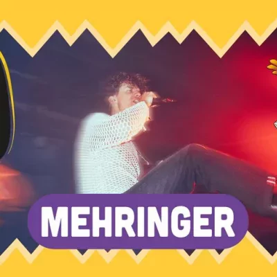 Mehringer