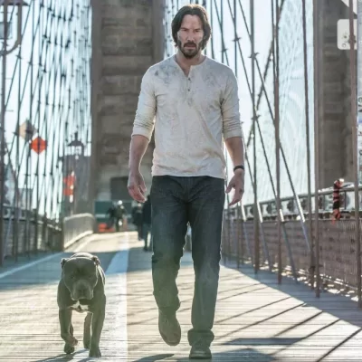 Jön a John Wick-sorozat, a John Wick 5 és még két spin off is!