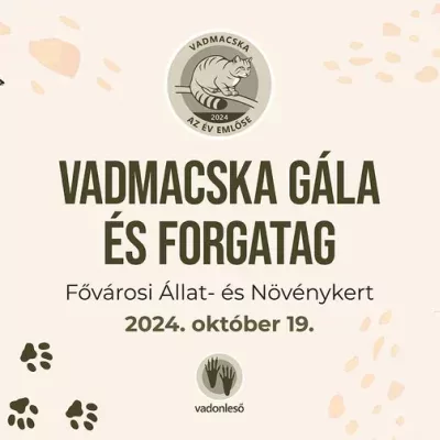 Vadmacska Gála és Forgatag