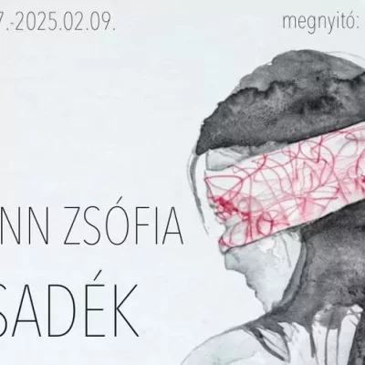 Hermann Zsófia: Hasadék