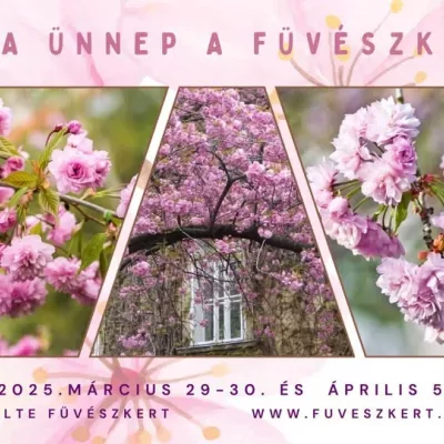 Sakura ünnep a Füvészkertben