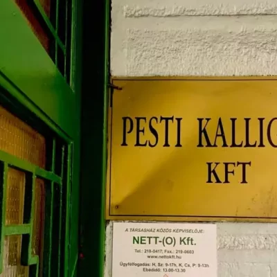 Kalligram-kör // Kihalóban az irodalomkritika?