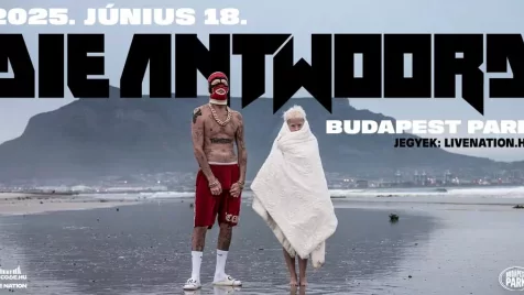 Visszatér a Die Antwoord
