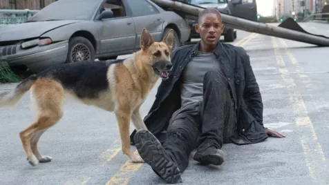 Jó hírek jöttek a Legenda vagyok 2-ről