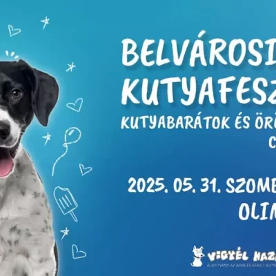 Belvárosi Kutyafesztivál