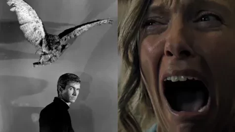 Nemcsak Demi Moore járt így: 7 zseniális horrorfilm, amelyet méltatlan módon elkerültek az Oscar-díjak