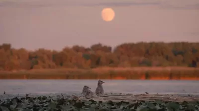 Legkisebbek mozija: Tisza-tó, az ember alkotta paradicsom