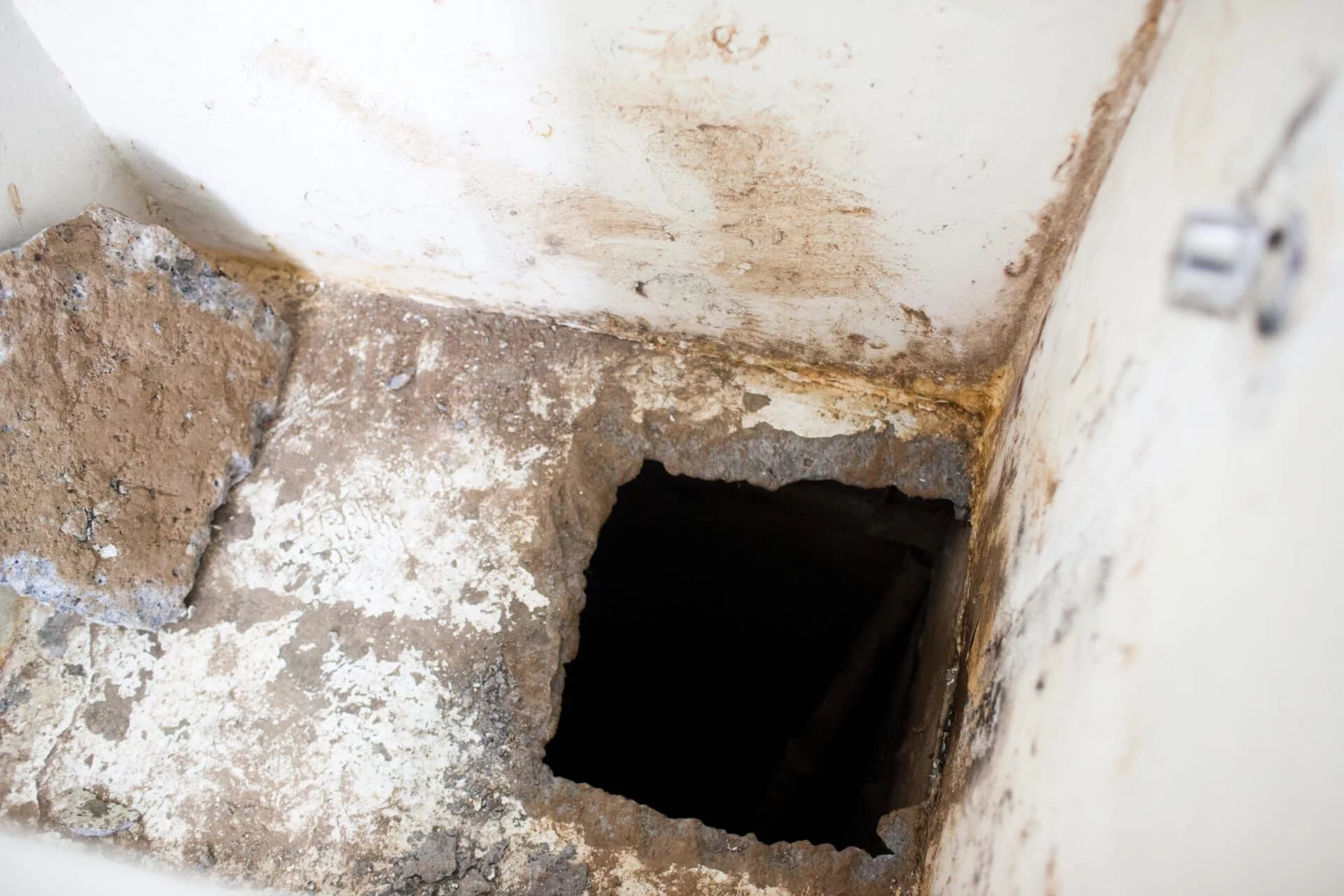 Illegális zsenik || Gyémántrablások és csontgyárak