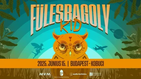 Fülesbagoly gyerekeknek