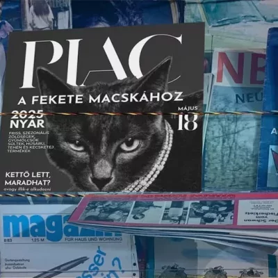 Piac a fekete macskához