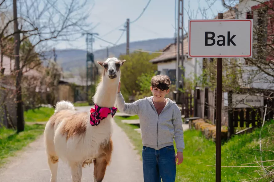 BigBakShow címmel új magyar sorozat indul az RTL-en