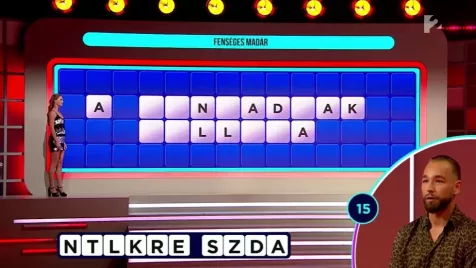Szerencsekerék: ezt a feladványt Kasza Tibi sem tudta megoldani, a játékos pedig több mint 13 milliót bukott 