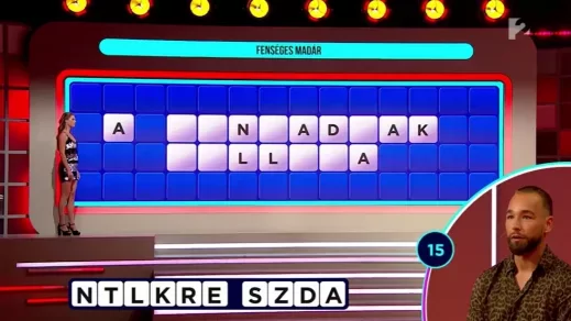 Szerencsekerék: ezt a feladványt Kasza Tibi sem tudta megoldani, a játékos pedig több mint 13 milliót bukott 