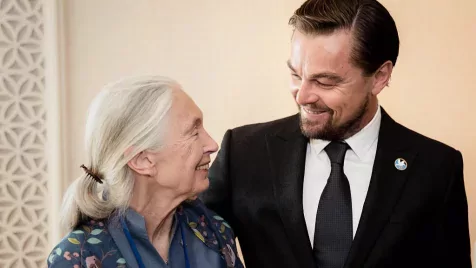 Megható szavakkal búcsúzott Jane Goodalltól Leonardo DiCaprio