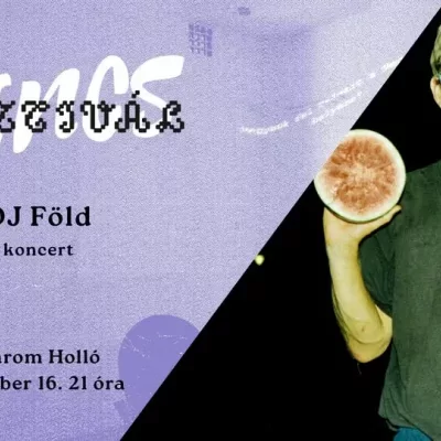 DJ Föld koncert - Nincs Fesztivál