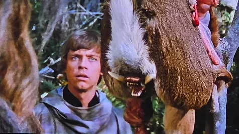A Jedi visszatér egyik fontos díszlete valójában egy szarvas fenekére ragasztott fogsor volt