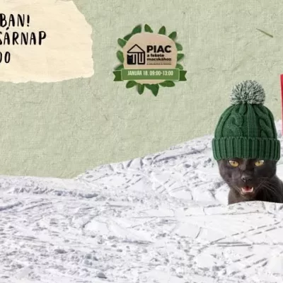 Piac a fekete macskához