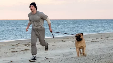 8 film, amelynek borítékolható a bukása idén