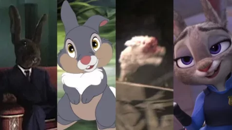 A nyúlon innen és túl: Íme a filmtörténet 8 legmenőbb nyuszis filmje!