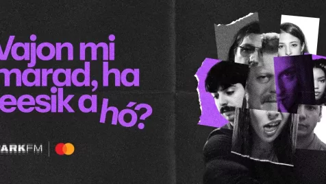 Vajon mi marad, ha leesik a hó?