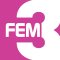 FEM3