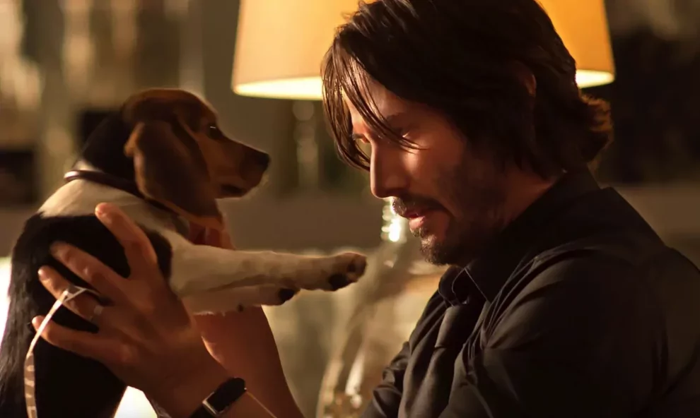 Halála indította be a frencsájzt, de a valóságban szép sors jutott a John Wick kutyáját alakító állatszínésznek