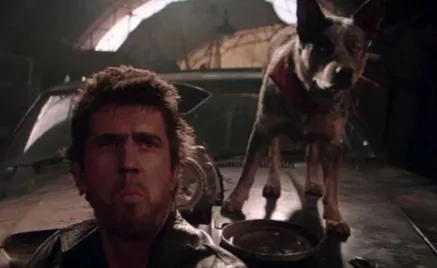 A Mad Max 2. ikonikus kutyája annyira félt a motorberregéstől, hogy speciális füldugót kellett készíteni neki