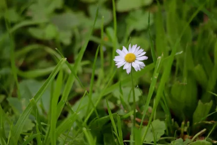 Szombati programajánló