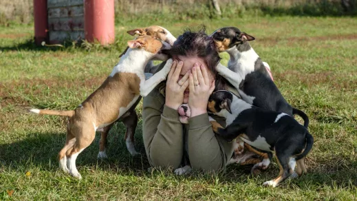 „Látnod kell a kutya lelkét” - interjú a Válóczi kutyafotós párral