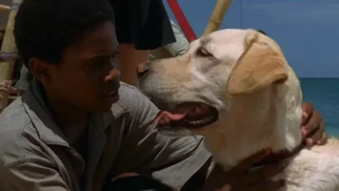 Több mint 20 évet élt a Lost labradorja, aki már a sorozat forgatása előtt is sztárkutya volt