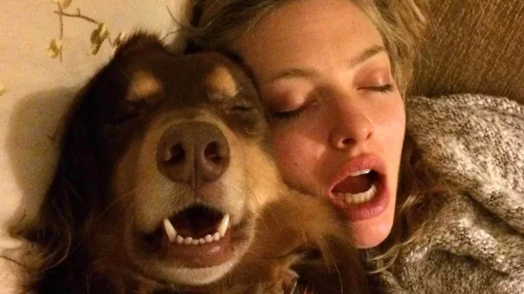 10 világhírű színész és kutyája - KÉPGALÉRIA