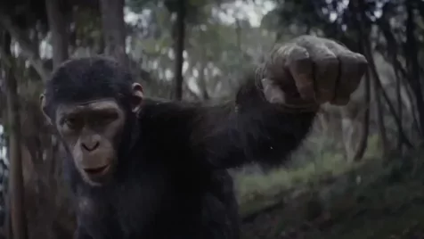 Feltámad az ikonikus sci-fi univerzum: új Majmok bolygója-film készül