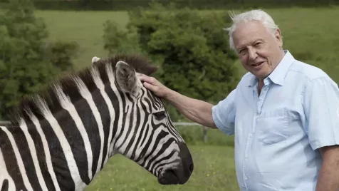 Sztárok, királyi családtagok és egy különös életmódtitok: így ünnepelte 100. születésnapját David Attenborough