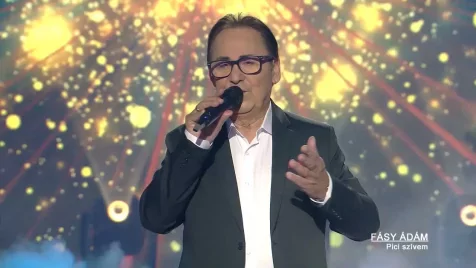 A hazai televíziózás legpusztítóbb jelenségei 5.: Fásy Mulató