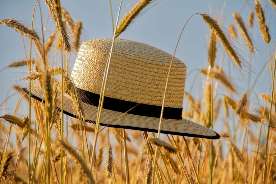 Lusta vasárnap helyett élmények